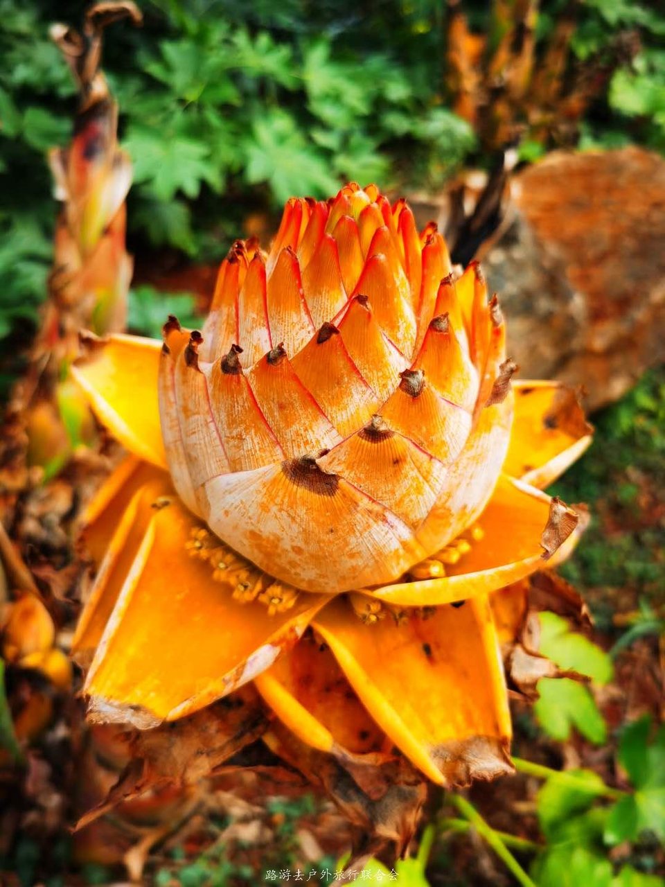 oBobKY1y5ozNUsXlcB3KgLBYWLrUKcuUZ-aFL6Gybec3kGKaYUGuMB3ykigKp9e8