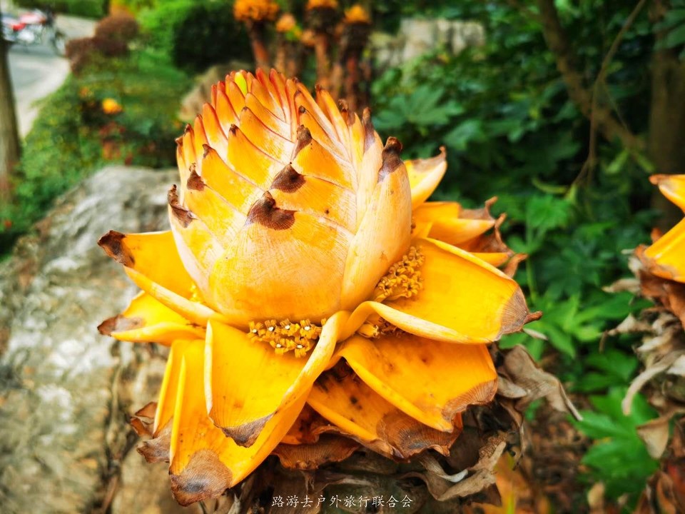 ivcL_8XOIrdzr76DamwfHHK3qeJLtG3aCX1aXMqVGcKRDegheM4m-Q-Bhar6XfdM