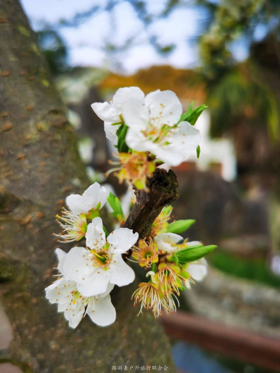 hpveoPo-dkESuCN1UShEGSyA8IsjaG8VTdNY7hv8MxzgrGy_a1xzJvf6BaAQ6KbH