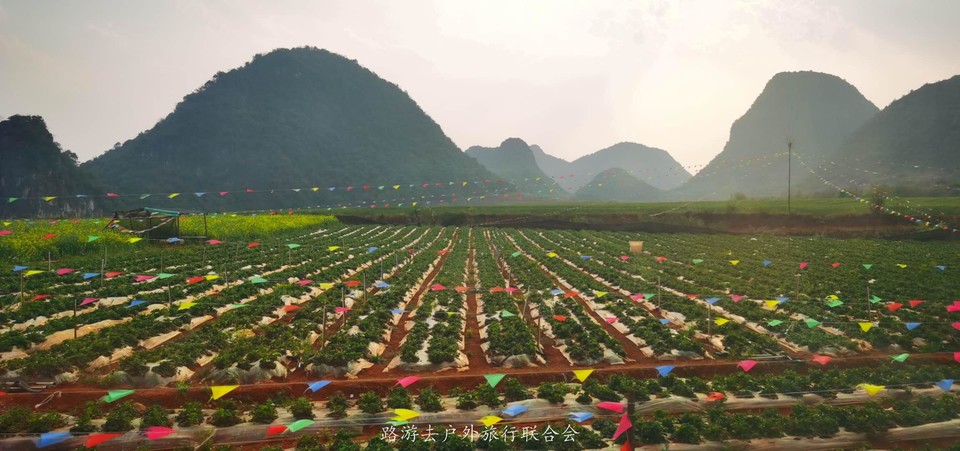 UcqOp9hvRv1Wa8sH1AUMc-yT-4XA3IT1RTxPGTguV2ZDL33YjmC4mcGAIISbvWdC