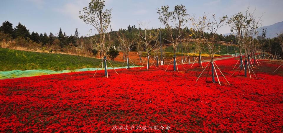 ZzZQ-cjf4RT7yPj6jRoYBmlPpQKHbfObWGlkVP78lCgXLsfimg91Lbjy04fFFAwR