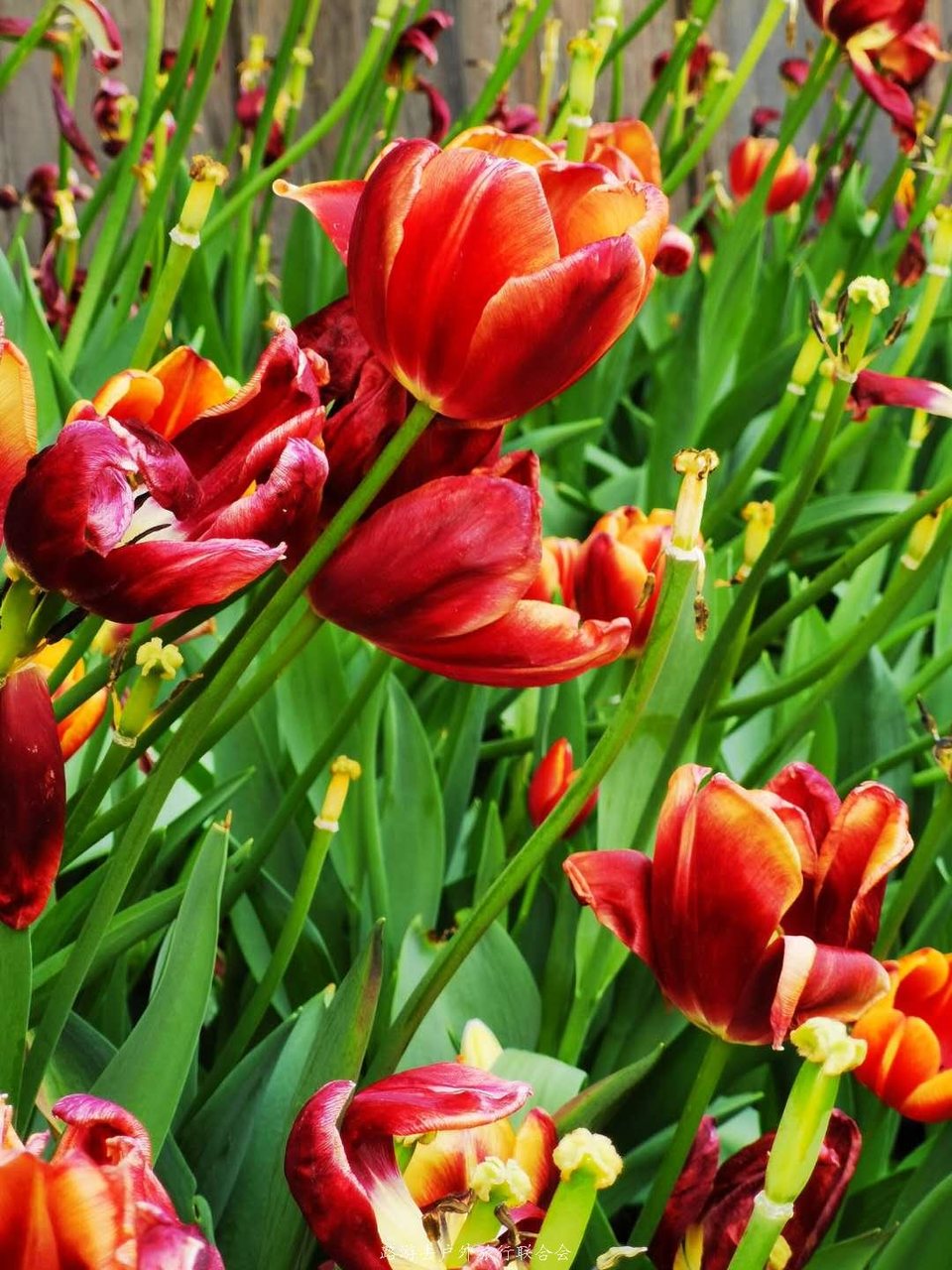 TwkxOjjXc1pb7pqzNAl3s7hcgTP8mgvSHyJ_yoPzcXT6jsUJg4r1I-ugNoBBwtNh