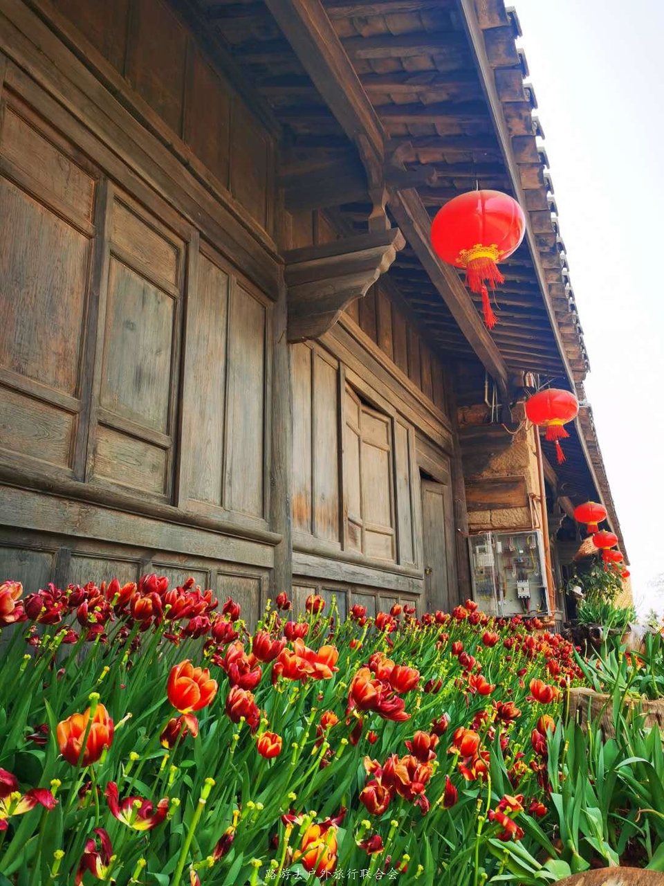 Ka_VTkpIwE09POFHTYhvVmB5mQsCWiZXlD1XrImAFy2Ih3LsFpi6LkWnNbOG91Wa