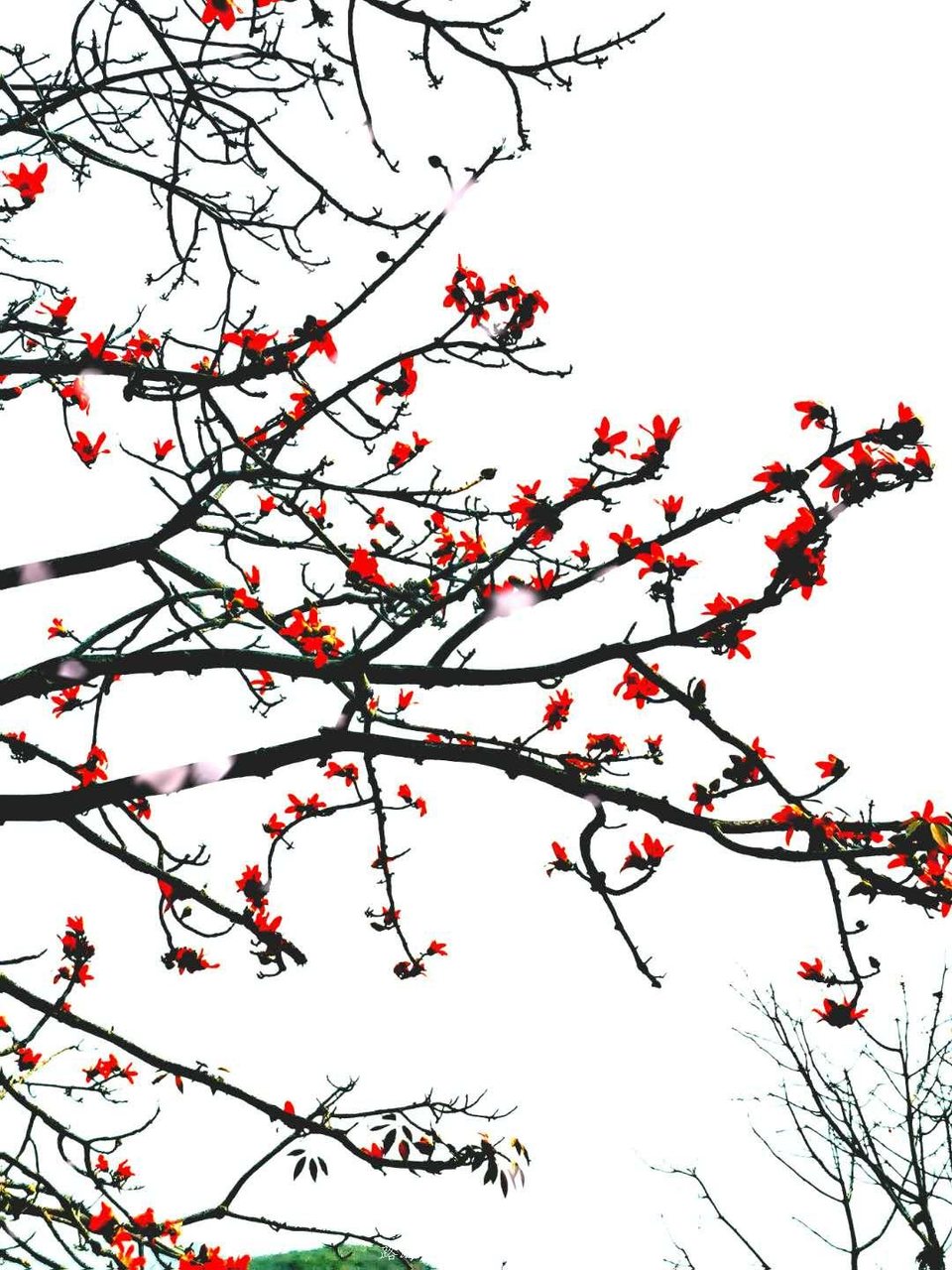 FAs4uubiR1w746Pcd823PG21Jv6RA3aFPhqfUY6uMCN55JcXR7lA-C2SYoCcP0Bk