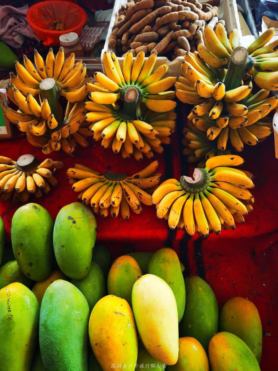 yTd38uoKBsVkxhm1oHZd37pvgzsKACUZl7_vJ5G9pxRtijnxpVZCf98PTglbLgEv