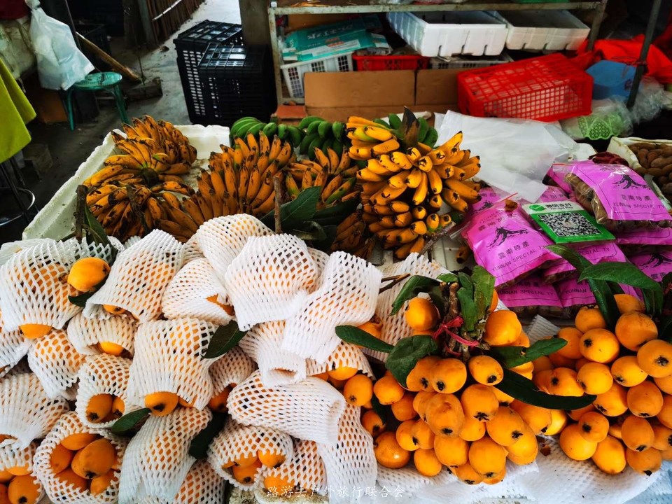 U0VJR4VVsanAWtWjLm_czYRNovieYTb70GCKaTw11bVCCN79cHGZdWQR6rsodW82