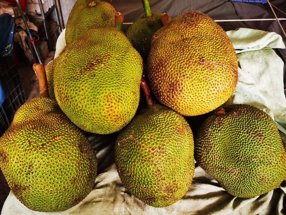 slIIZWByDYhmJBF-c0Ww_oCCfsZKu0Vl6DGX0Zvr3Eauk4Ej6MT-LdW8ZSugJT2v