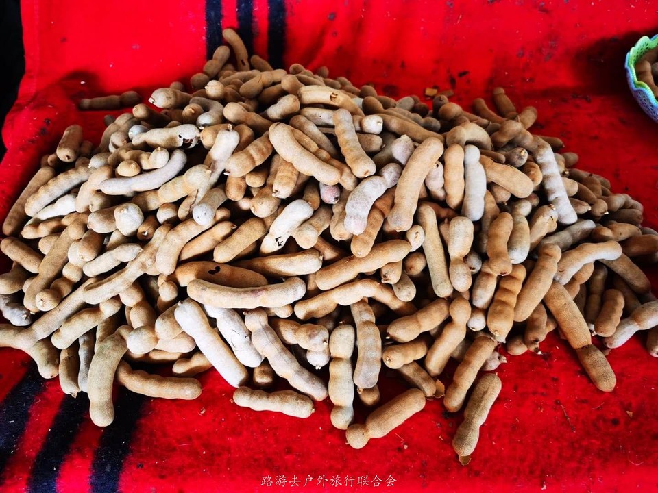 qd0Rmq_RPI-A7g_69Eb8aKZJzQqmwqv0RQ9hWD8RHSc6mRzBriFVwz_5XBSMZUG5