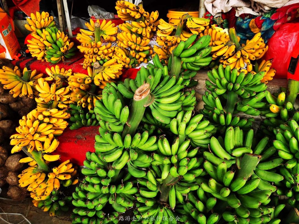 Da9ZguIJ7M5Y1wusChtb-wCMlL7mYMcuNuS2oTAQdNl3KM7SHIx_jvHcqf4eY29C