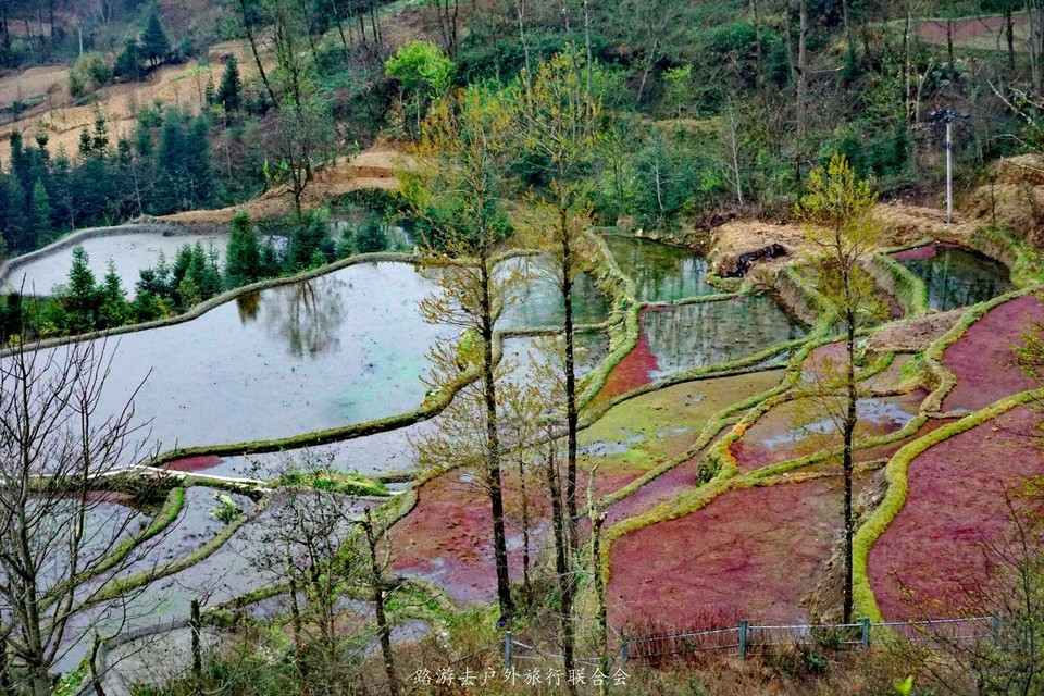 r0f96ijgCz3EXIcK8CX-d1_5fmhGIZLrBlLlYSNngjnJhA9TSVFYrswO9SbjJ5x5