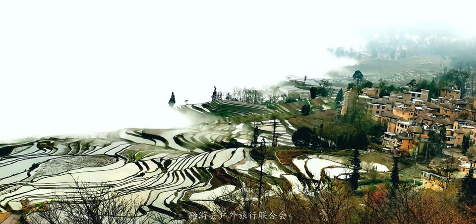 j5ALpm5182q6TQFZ8f8Biwob_S8JRfJdUoq-o7FdrEfbeJJov1tHIWS_ZZXq-YDB