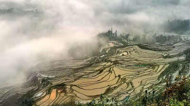 -DkunmtSTqiE_koZt1p-EEV23yXfkOv_QSnKb4TnDsMt8J_8dy2j3ui1kEhQ3OdV