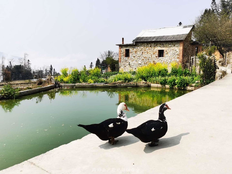 B34P1-R7fuaMXngBp2GJ0EaNHiYVWH9za0wkXKt06P4DAgMvobLteOVEeXNI2bwD