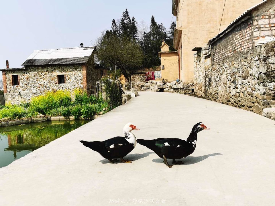 JC8WCcYQkAKuepI1FjGznyhwMYhTOU514ZVH36n6FydJ2p8YD7rrh8XIS4NQZn6n