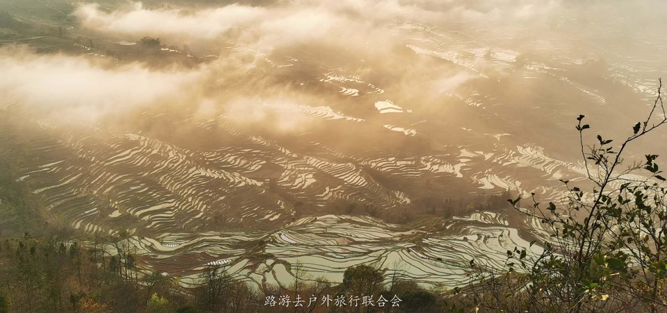 AgqNU8eXsgF7xK9L8RJ4TgPlTel5UCjYL5jSAmvf5ej30LoTzV6KKsRCZ3o8Ilvj