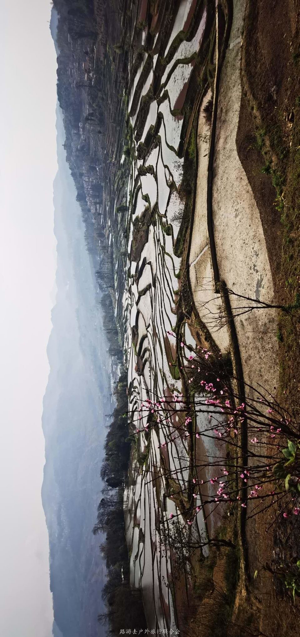 GM7lMBA3mJAaQN0nZUgIWxtCOG-iEmcVamr3udis8RM2qtJoN0C51RYlVACnNzOI