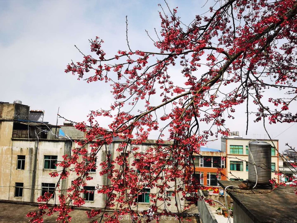 A2GBGIA9H5tMEn4W3fahe7Ilv_oSiHUB4sTtOUtcC7Mp0Wq-X9J2J8CQG2-ZDmQ2