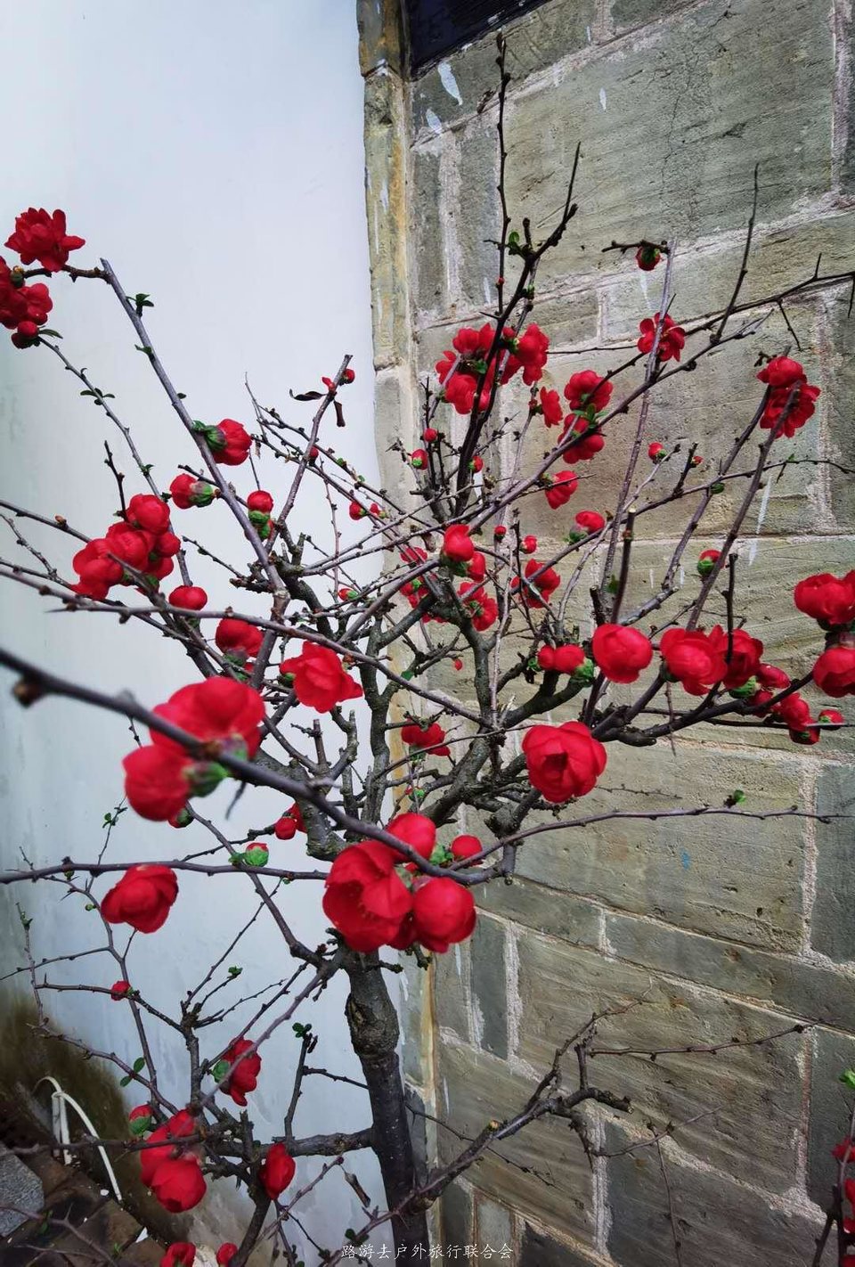 zDi1ydDVueTMwAi-aQ3R0SHZQrAswy7p-4ee4pfyNfz0BozwByslUL4F3QEGr7wl