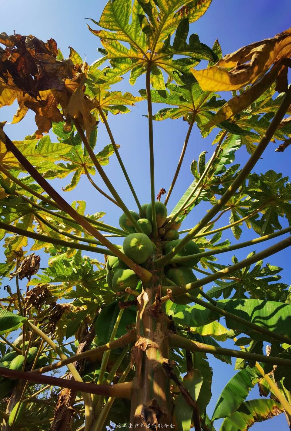 46-yofZXv_yBZMq8yItIrhRMwnEnEmGp2ntHJ-rEvYU2MvUomcu45IjmBKJJaQjm