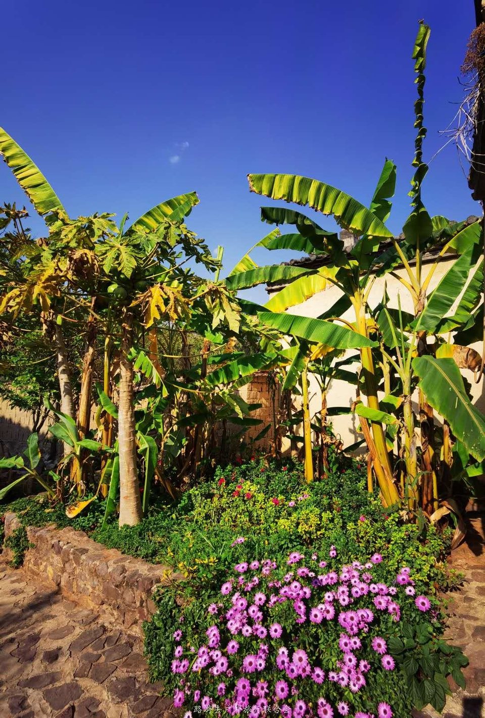 9cELl8cQfpjH1UtUc6BKK8_fQ7palHeoJjYrA8lhDJEHXIxTJCrDLpvGvBomkpEg