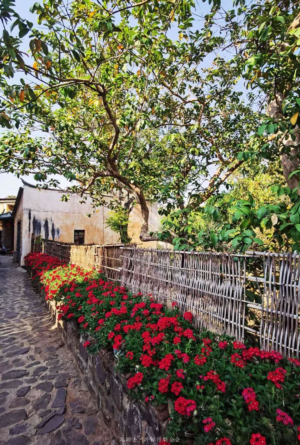 y9QMezvneCc-_Xkww3QOSeGfZCQpsmzzxqx1gmN_IDCC_-j0AdFNw5VcKyhcJzkf