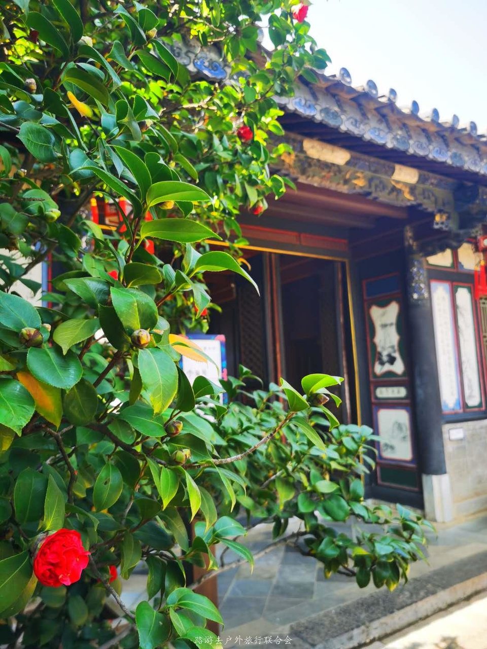 krYEcxGV2zq-wLU7NGhkLtYbmsBMora3R0WrBg7qR1bVcyo4sEcm6XwPoY-kzl3C