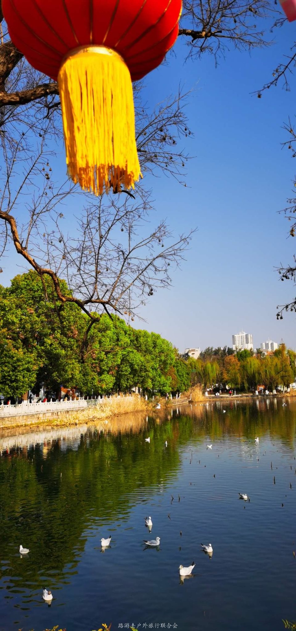 mI0u3hvdt6ZBfp5dPCcwFey5WaV-rn-RWY7pVl1hNvBI7OXyIl0eXMUQBF9uh1hu