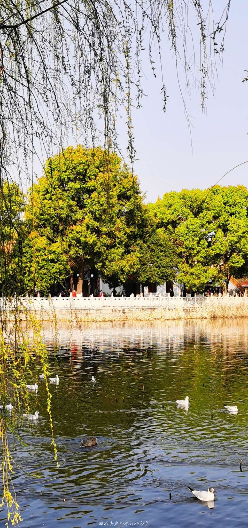 J6rTFnHbib5Cdho2l07QWOKqavs5K7fFPaIH0vkVF5a1gJsGqHQSw8w4zdRY4P-u