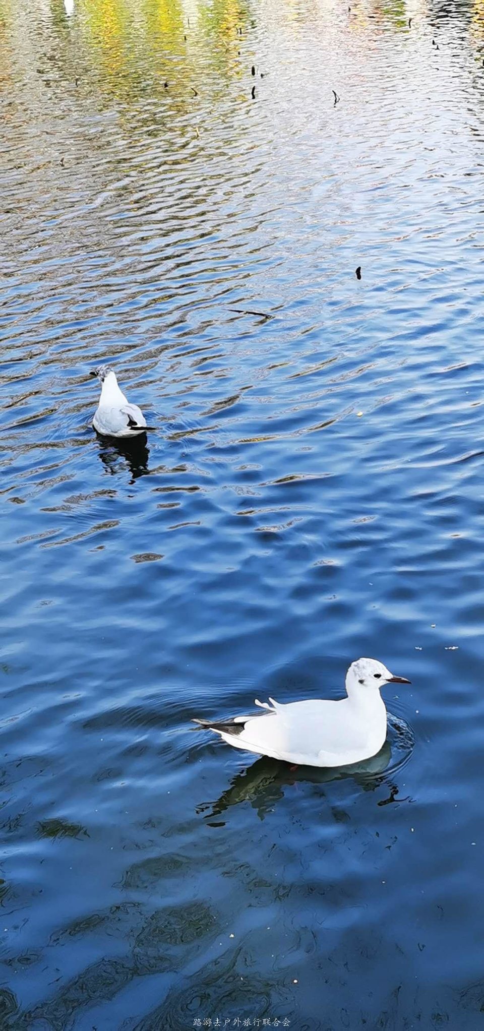 Rlo8qKAFcCEiq2UaaI5czzu1NvnU8l6fB064auc_iHFrwJUafmFKkP3JqeX8jMpw