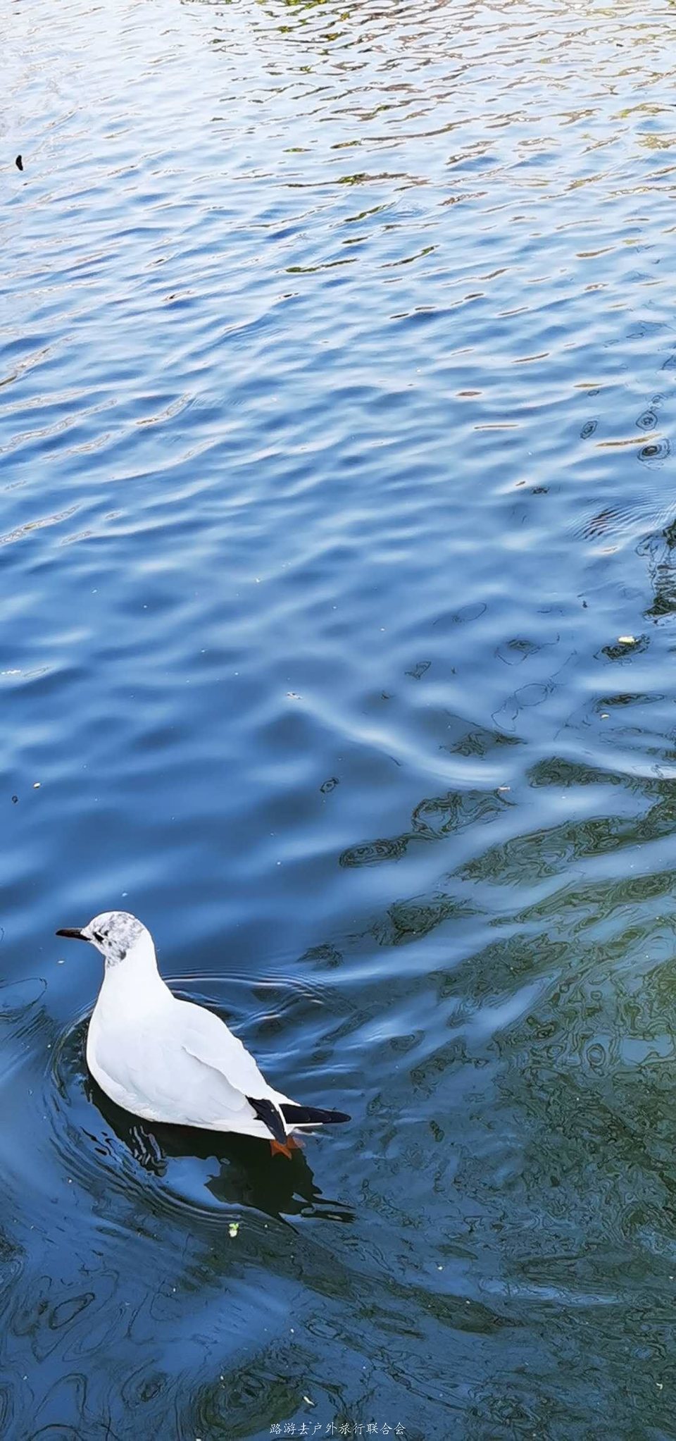 -jdQot5Bg5zelUoMSoh_oWktquncDOpzDDwVby-Y_Ig6S3pNmuD3Az2gmt10QW33