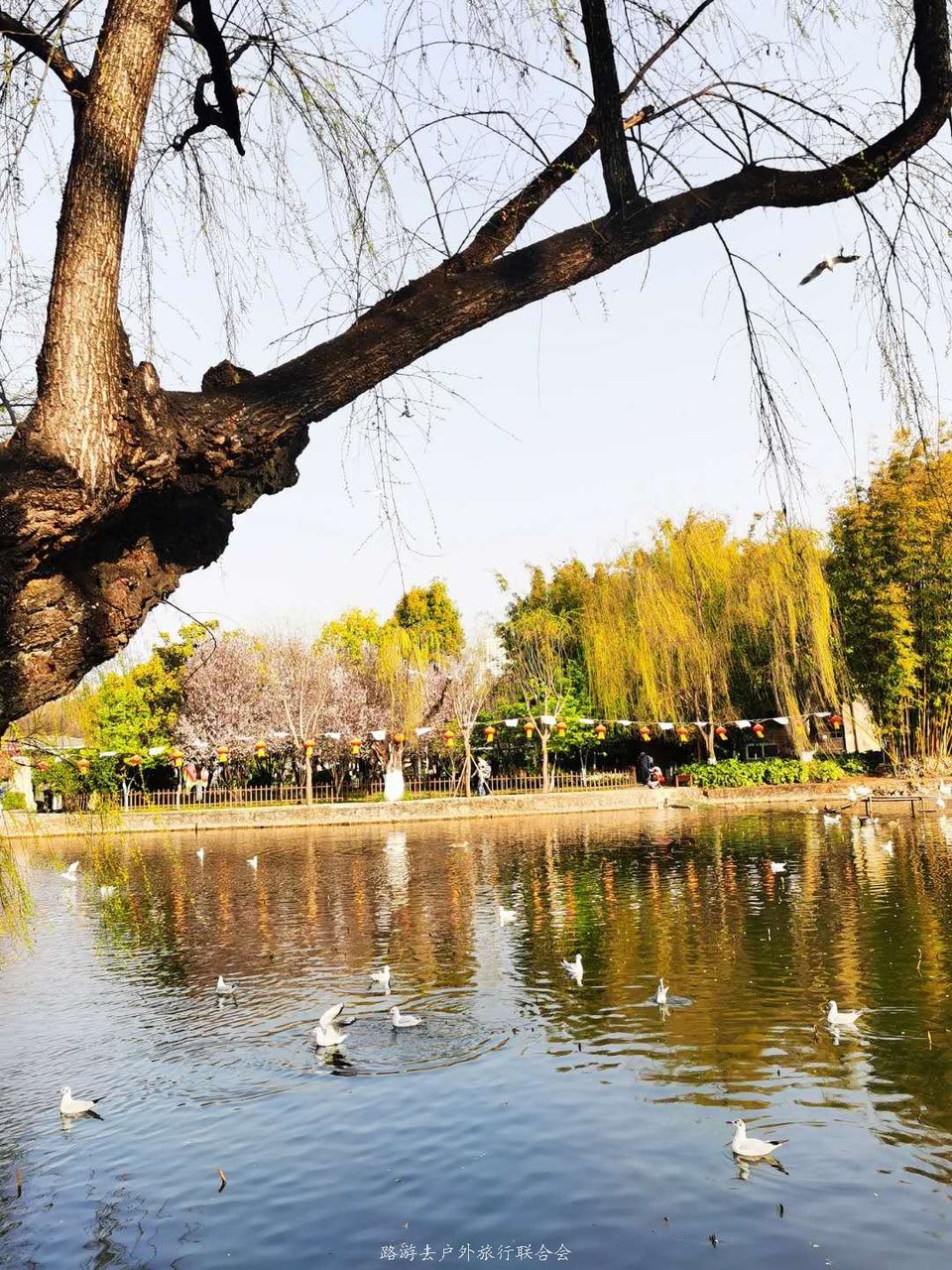 vApJ1eOn36IgC9snoZ5WD4lxoeh2KiDAz_6gBMOWmwN5nf53deuqWrIFL_aMO3kR