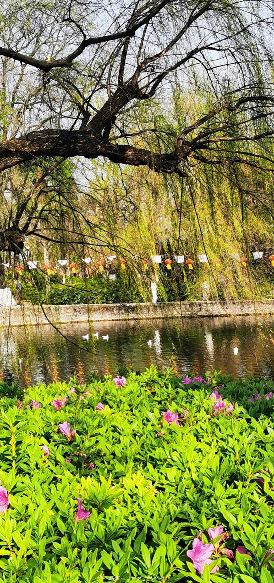 QjJ4hFySS487sphIXVm20mSSesZYDyoMOORvYgM7YvIrOJ4mLMaLJyX6FXYr-DJF