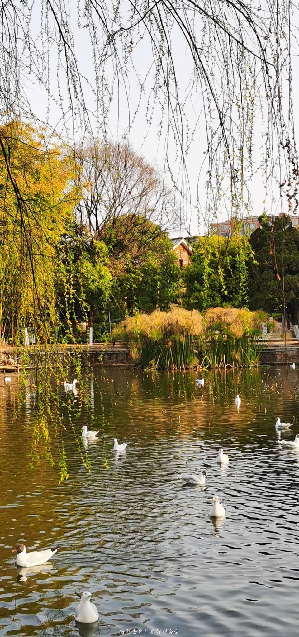 n3Zjs-sAQLEOmMwAZy0CXqpE4WEQKqzEzkc_PiswhNReuHzQNMY8vvWQIq90AscV