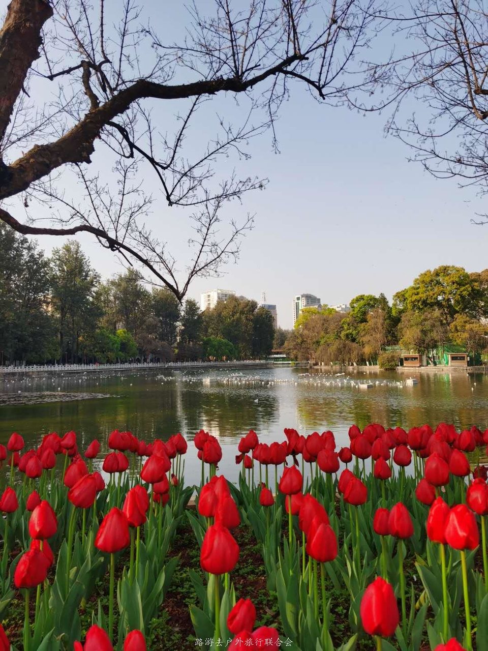 4L8vjuVPG9Ex4iILTN7d0KfWfDquy5fku332rB7R0g8Lk8k62iwzpT8neWdHR6zp