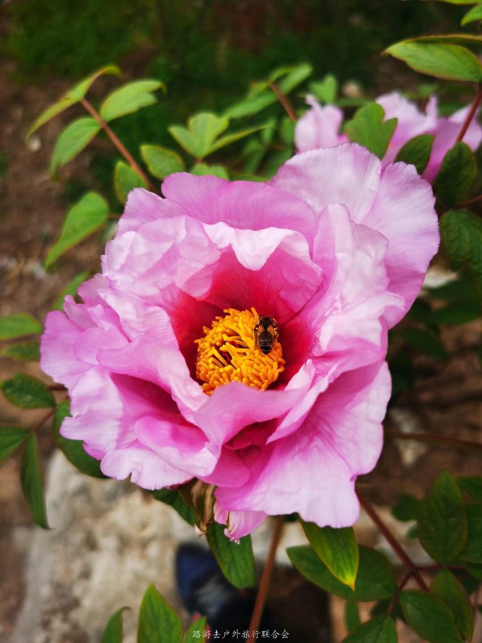 HWm5uOEpk5h6bBGEaQSa0rQQCuv3-YiMWgNJImgM2S4kpjD-Ba66tTxQaDPFsM2w