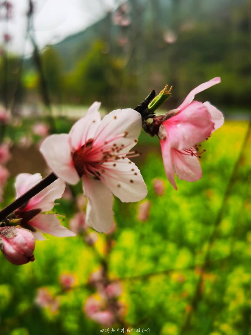 RdYQUiutnaIKYtI8MYdUsghBHeG2WLJzZGtEeZCg77NQlD-IKwC7g48ttuAw-ch-