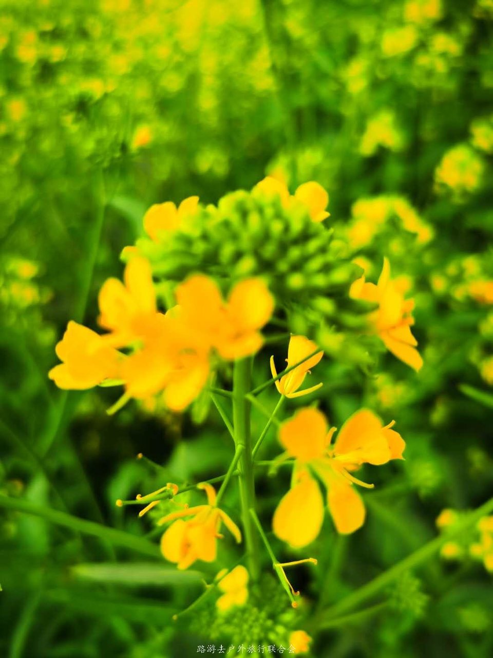 f21rXtcglnH1O1HA_nSRva_b46j84uvyjpvYxtBtZSueV4AzUPuobPLYnGdoJ08x