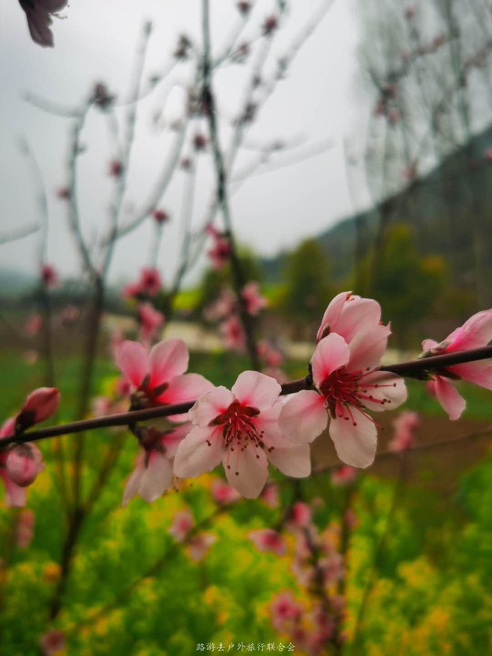 GR9TGLVvMjODZKzCLbGMIZc6uj5eqsCYli11S_lSd4VGmf7RKlOLc0relo4_UO3F