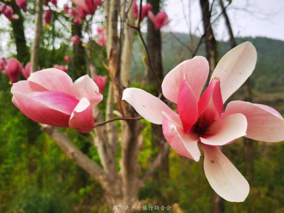 XEz_TonNoq377ShTkfxy5j-L7v8hThjsZ_xwFh2A5ra6DyS8G9fsVEQ35rAG7BMk