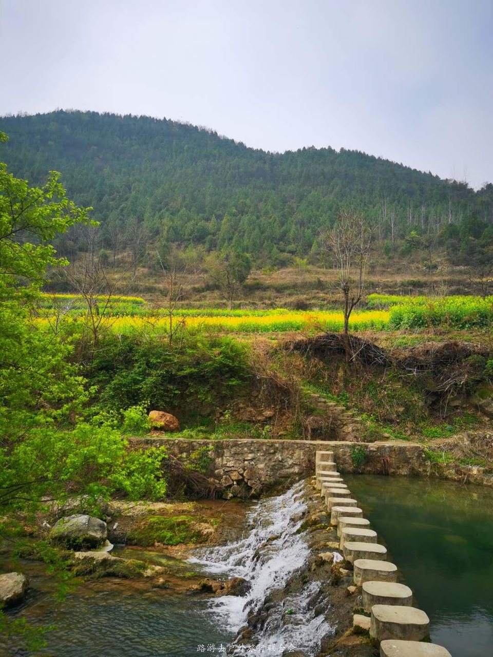 c4L6woLNsvrUXyHQze9qrRPqdWVMknIaDsZM0w-9YFEA9OR1OKzlnlKVXRQYaYLT