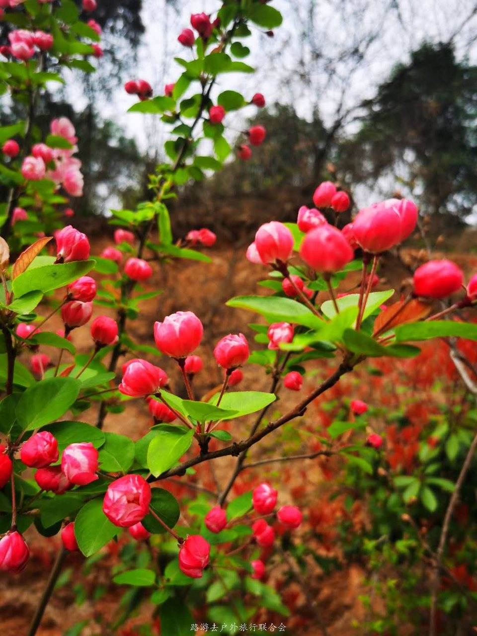 gfbaXDMj87eMzxkLTEFcfjplPfdy8nxrxSGjNCMY_HKGTn5jXYPfDTHg1GFo7VbQ