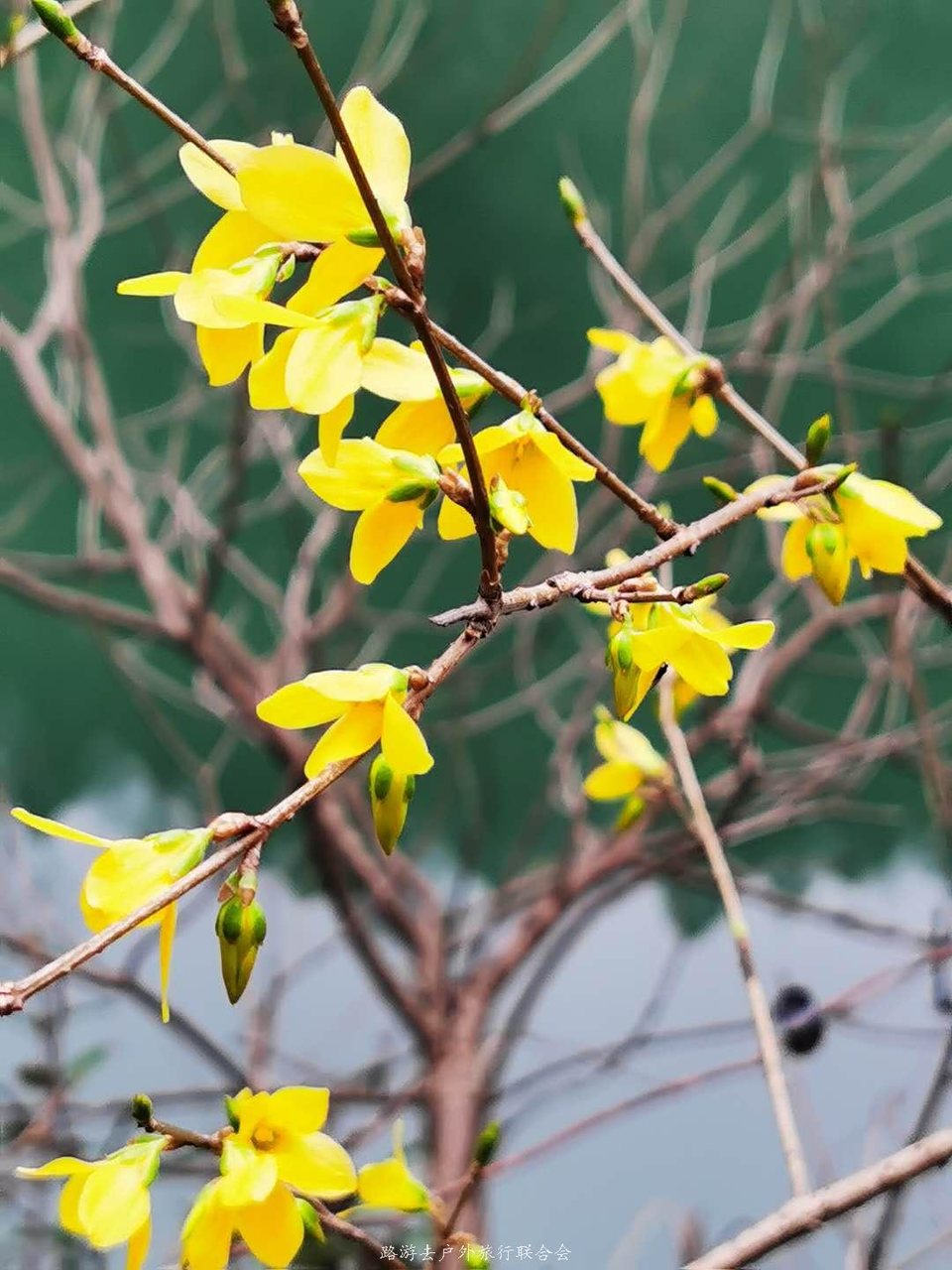 mZvbpfb5cto36Q3GFD1nRB-piKBBgydNHnV6Rq0bbL2z22L_jaKrDtuXijzDE69i