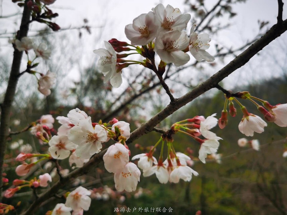 Yk15FOVHw9raIC-rN-lO17aqwKCoCeWrv08XqB9HrFmD6JQ6_kol6coyd84Cbl7m