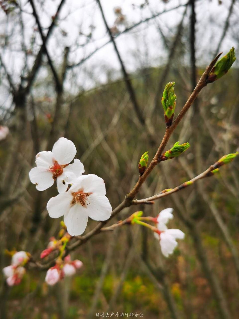 Im-iJ_6KGlZbuLh09Cl8b3-XnL4sX21yhMo1GYcoE3c_zNxtwGav3misXSTYmtd0