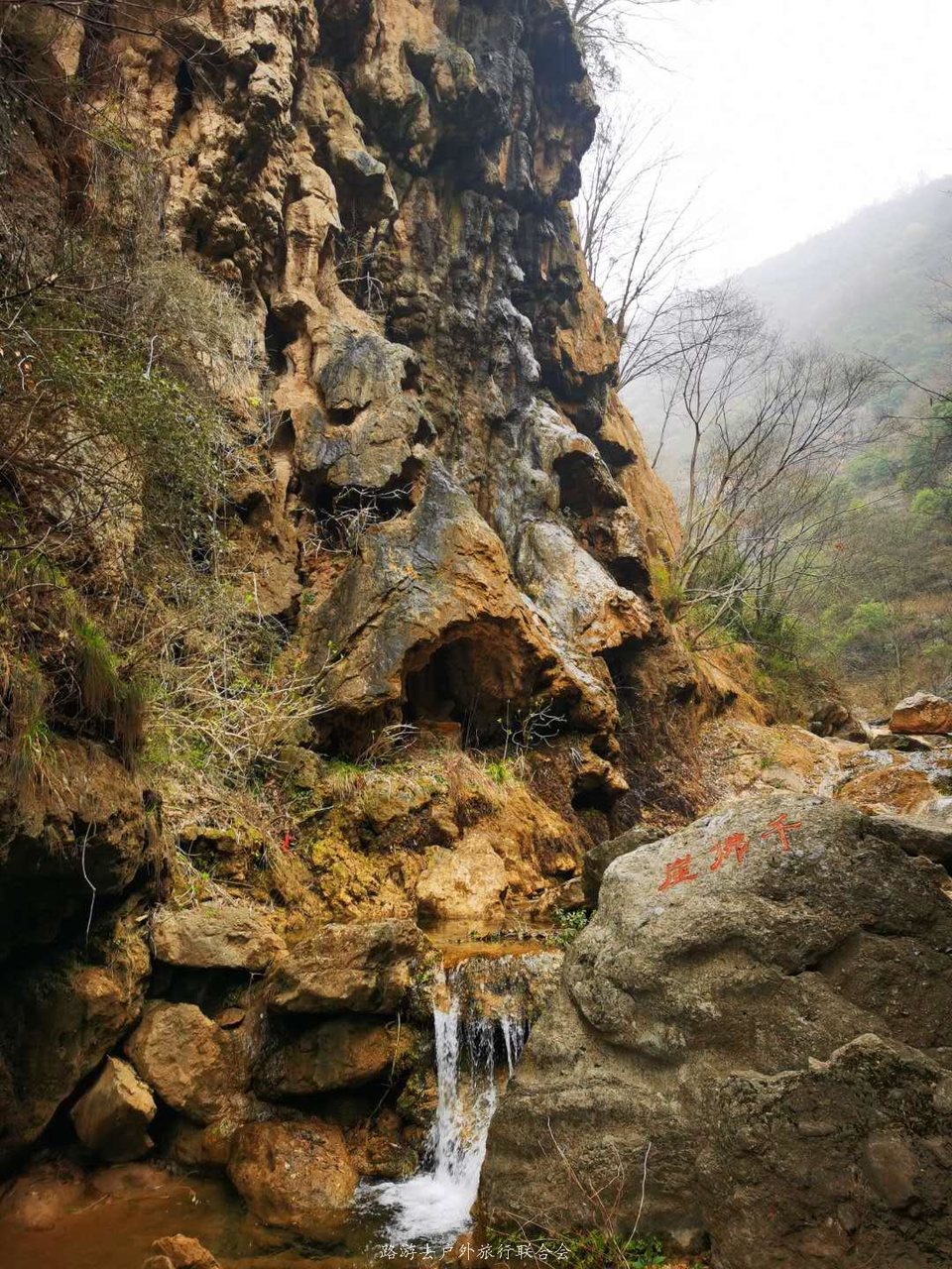 5-Ljsyn53mVk_X0r7shXInOOAJg1lNOzzmEXCikYrg2UhcuUY_1PvS3RuAiiq6rK