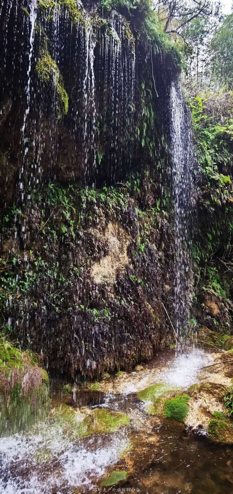 1ab8g26lejsFeDcPZ9qcIIQaY4g0F-zkdvPUn_xYFkiru7xBGIhbGp4sqTYLt9pc