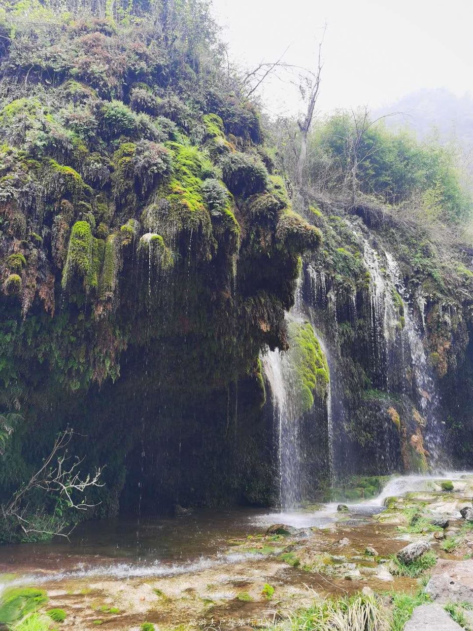 025UW6iDBpKTJmpkTjrk_cs0ZrxY6JBA0JWpDS-T91w8QIxIyNAF7WcpZEq6bxMl