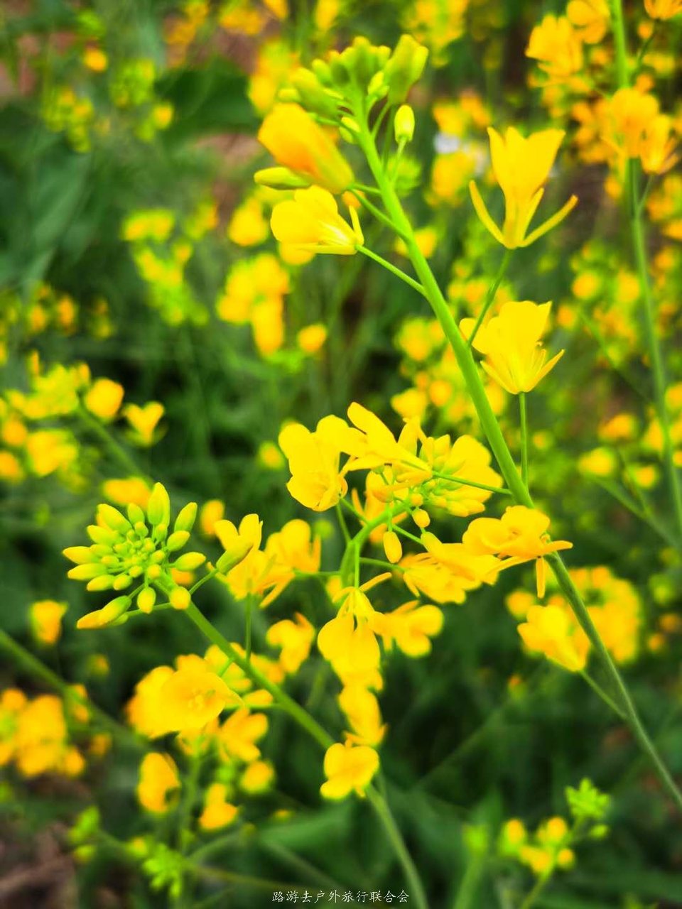 DwoYP02fAukw3zPvm0CXm6x0kXUhGvKaKY--HXeKNxsfms7yLAD6lR-JobaNm25m