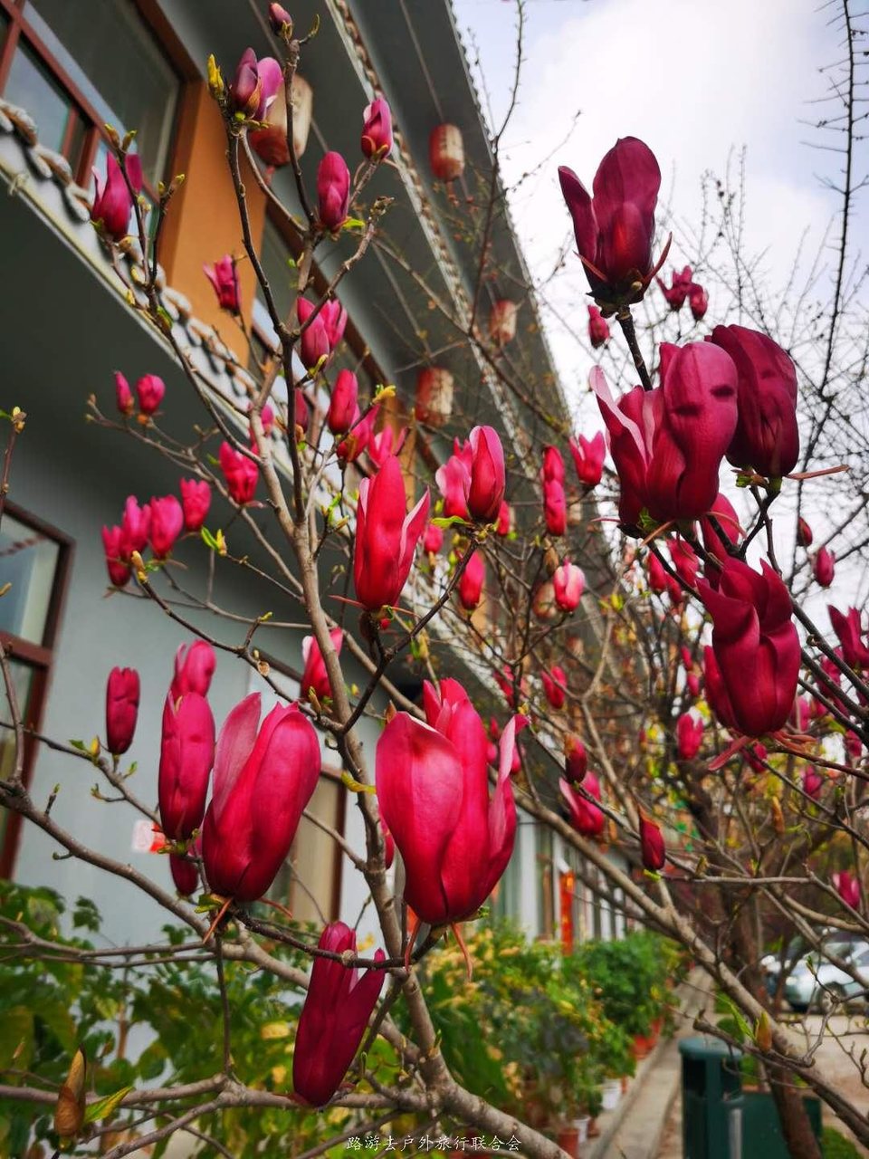 w0JLNWJqiiiOipJ7NyMnRoNXFcZvl6JI_kuIcMCnxnn7vrl1HB6cgQAehr_8tD2v