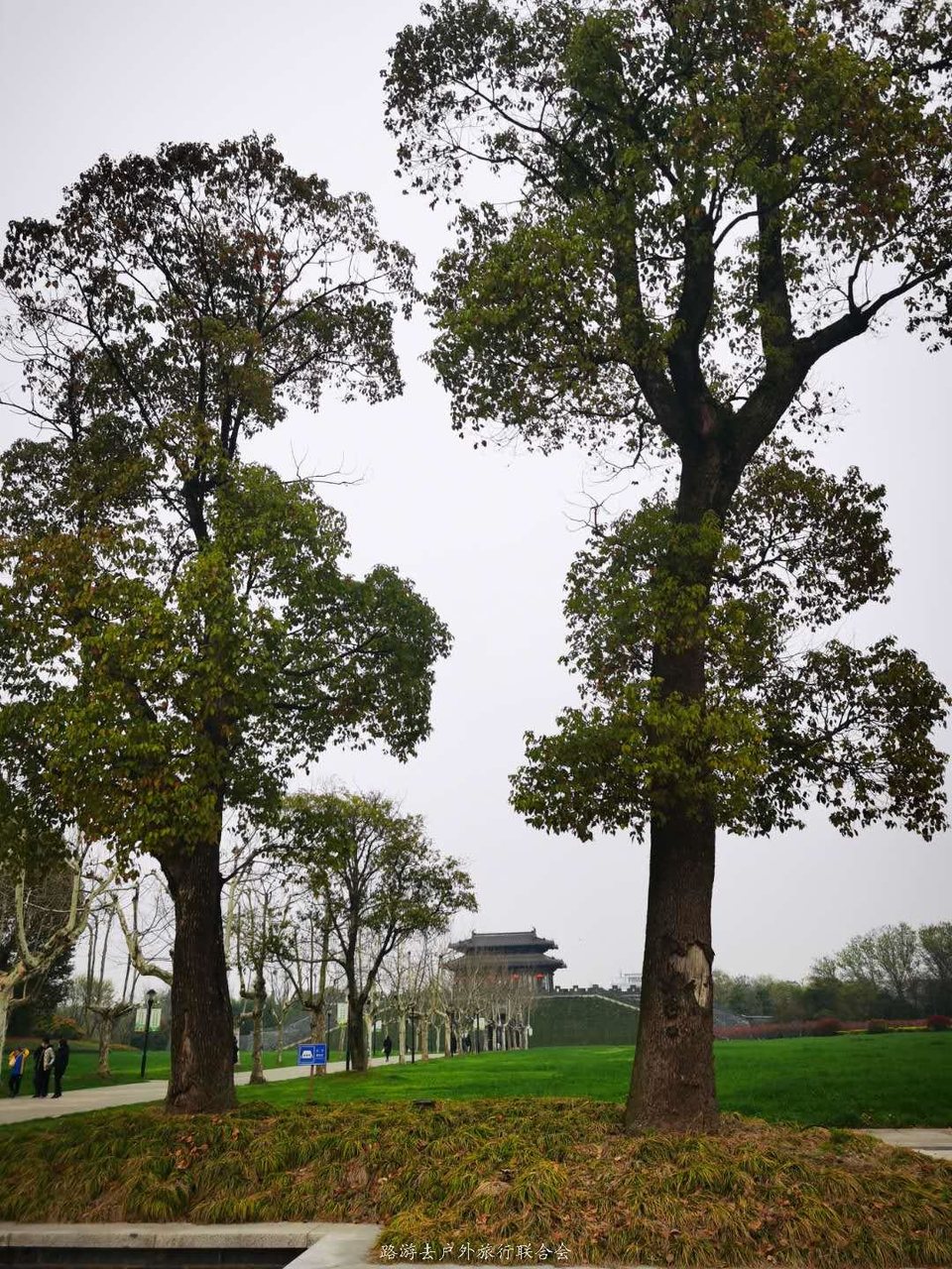 NlWvv2twxP9tjYgN-CnpDqyCscoDR1A27Tbut7TmugLUXtDYbnEusEQEqStIBPRv